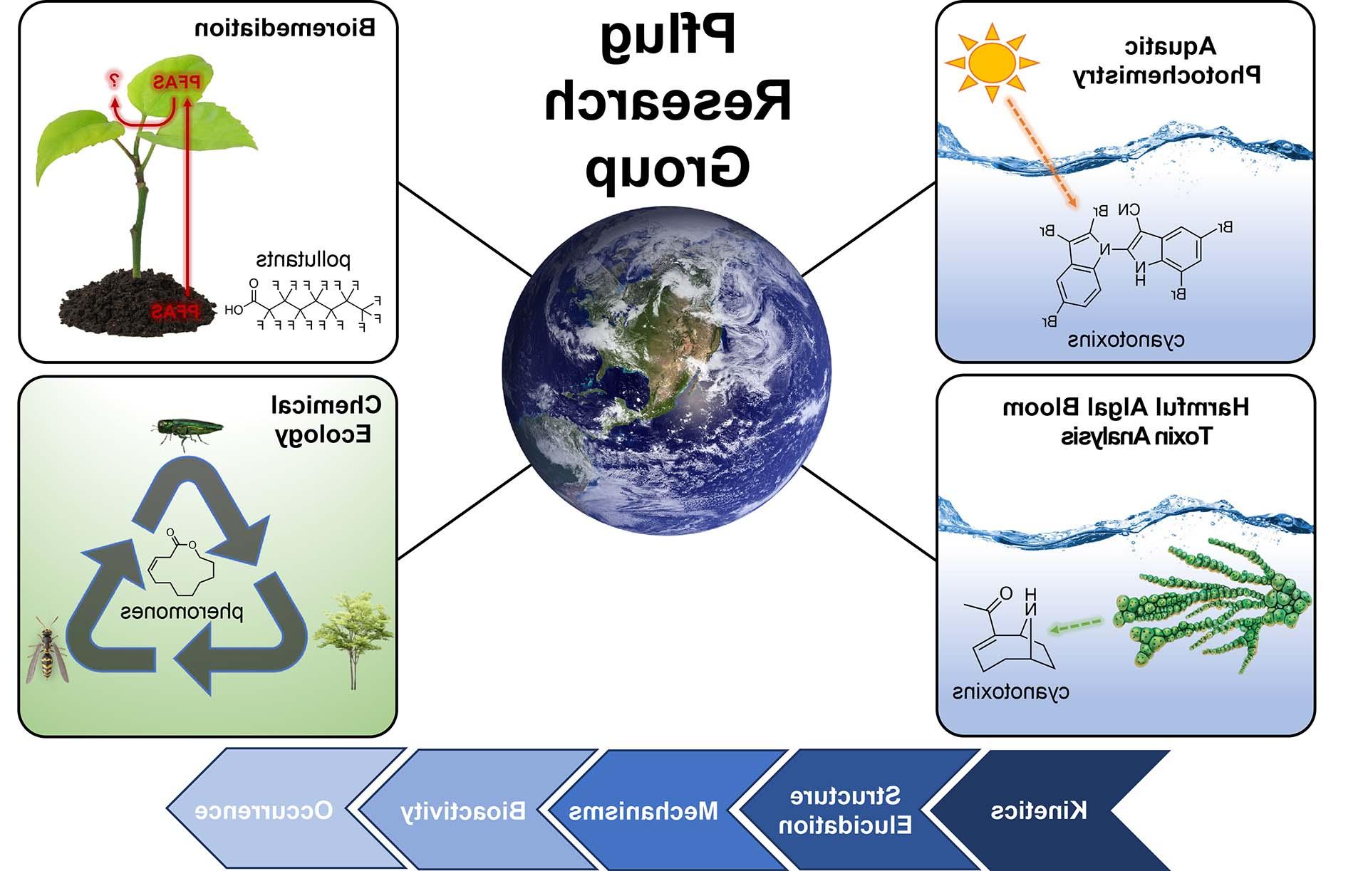 Diagram showing the relationship of different areas of research in the Pflug Lab.