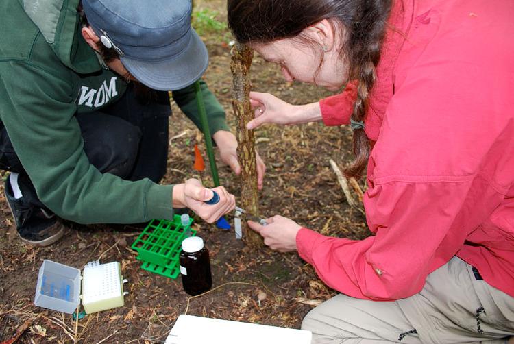 Students working in the field.