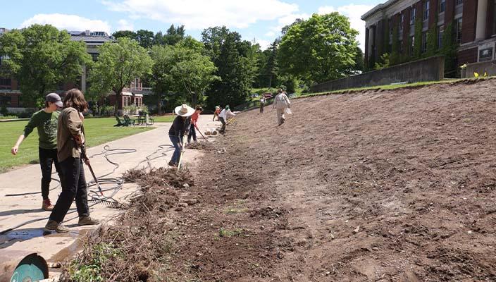 学生们正在为种植草地做准备